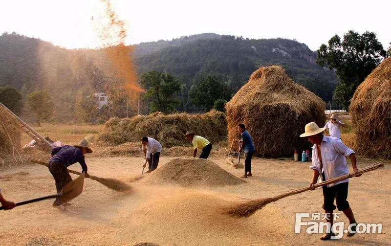 第二季的水稻成熟在10月秋收季节,而我们说的农忙就    我国江南地区