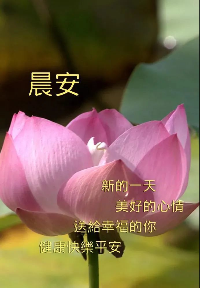 11月18日群发清晨早上好问候祝福动态表情图片早安问候语及暖心的话