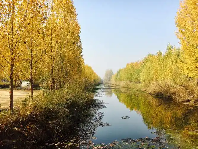 北方风景,南方韵味
