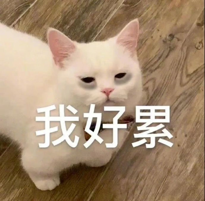 抖音情侣表情包