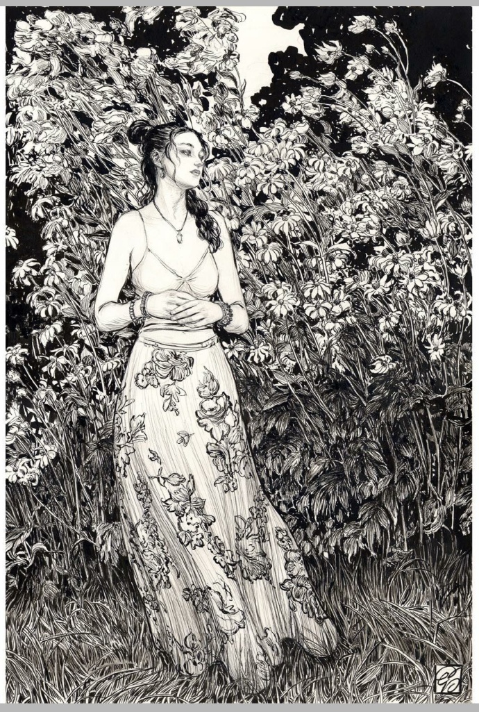 画家 dorian vallejo#插画##绘画