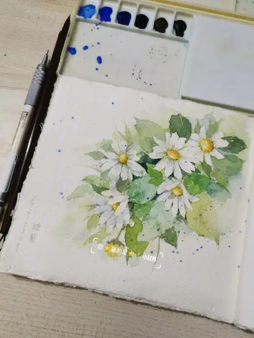 水彩画雏菊