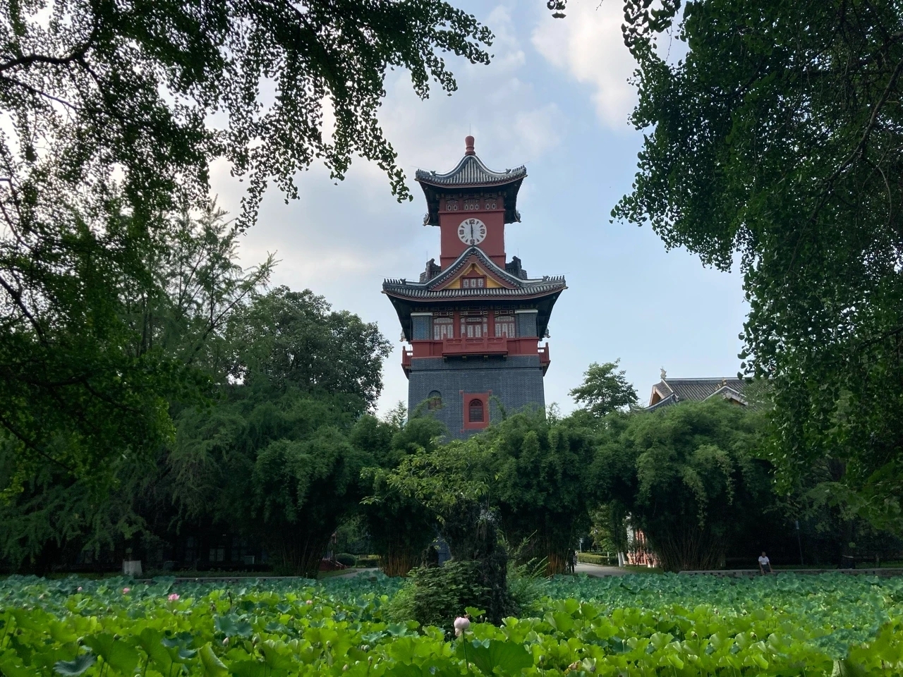 四川大学华西医学中心  华西医科大学(原)  #高考# #大学