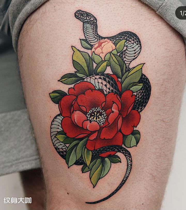 蛇与牡丹_纹身图案手稿图片_曲靖·九宝的纹身作品集