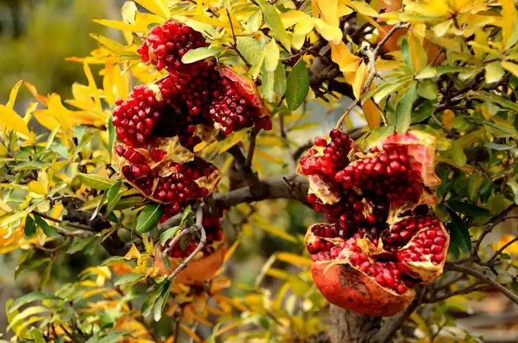 摄影:记录美丽(三)