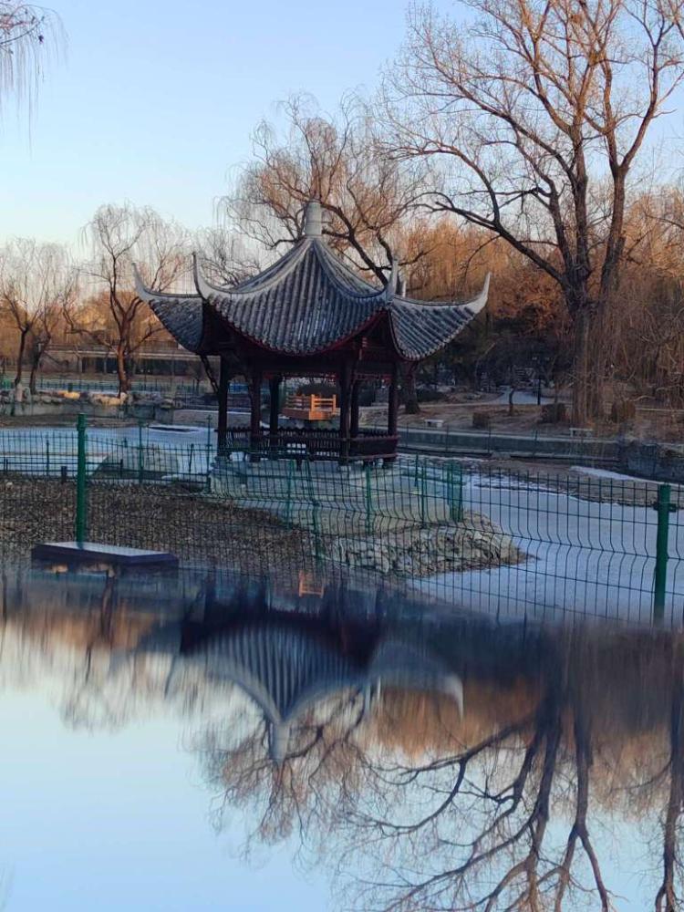 冬游陶然亭公园