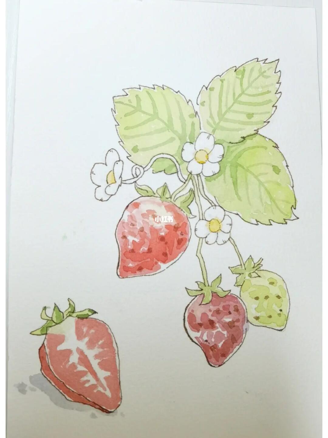 水彩入门小画一副