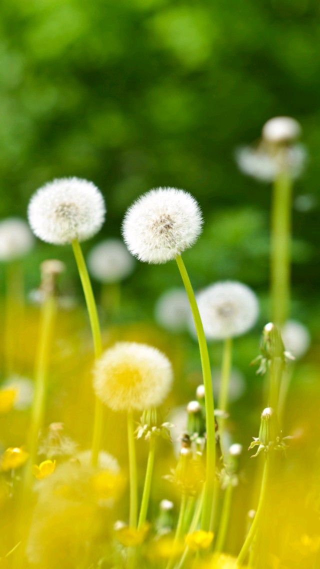 原创美好的句子总会给人好心情一起来阅读吧