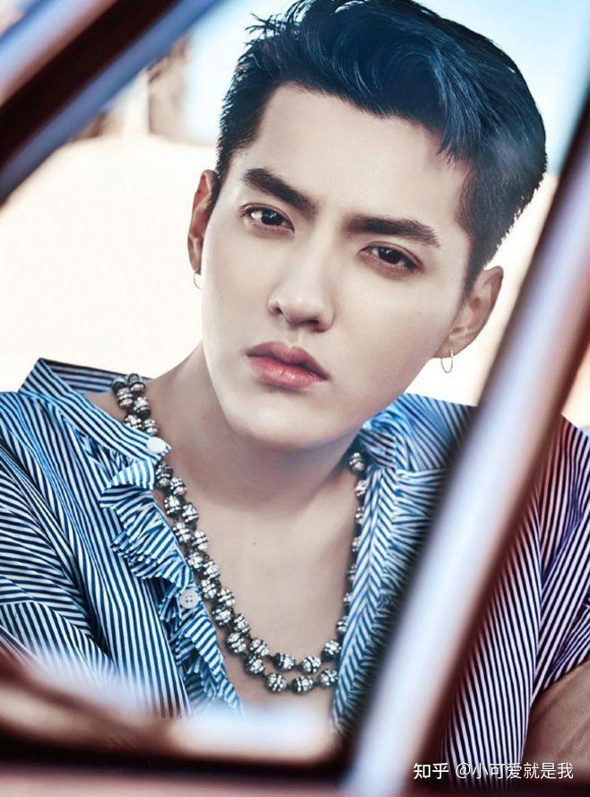 何晋龙解读吴亦凡的颜值