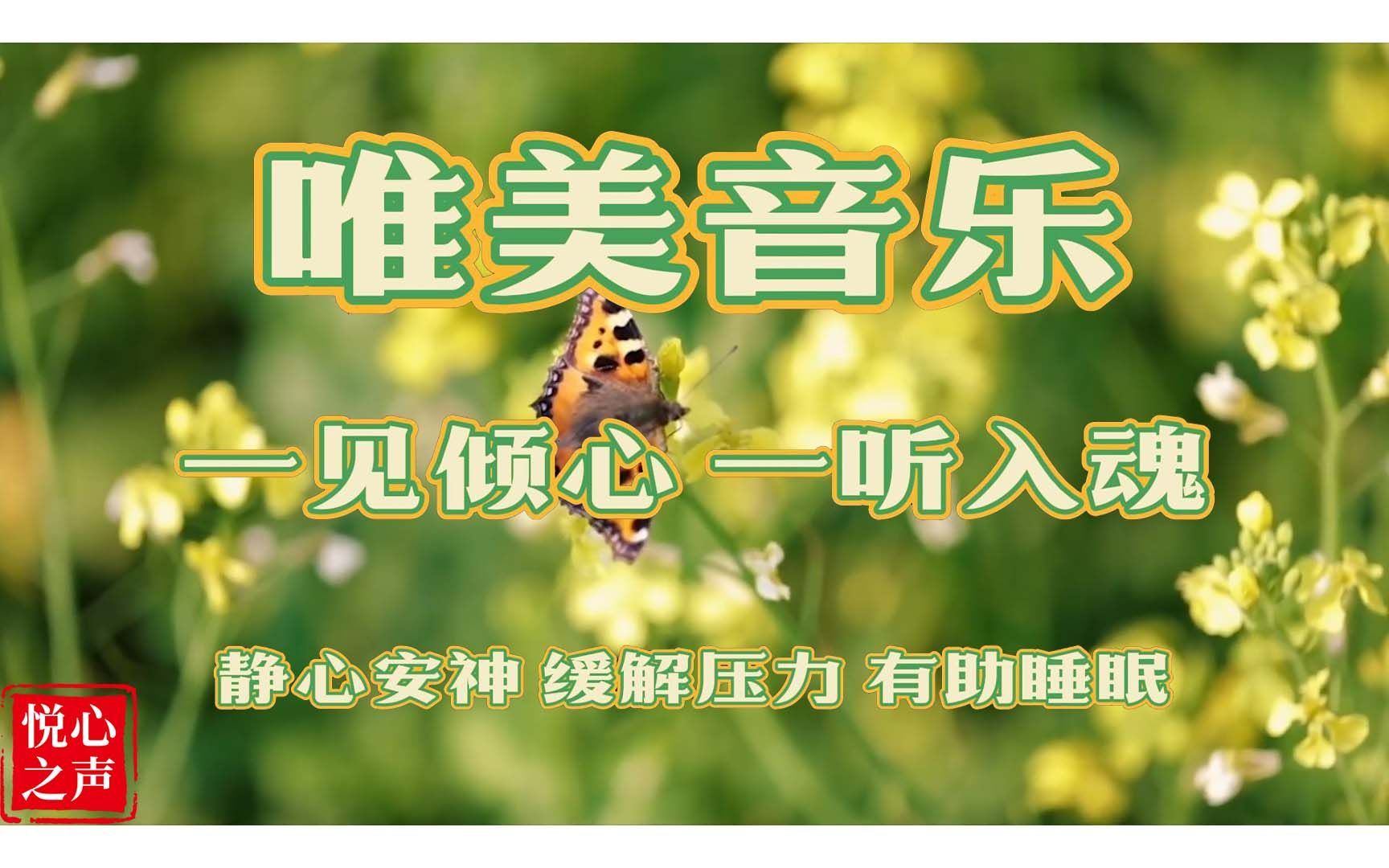超好听的轻音乐 - 唯美风景,静心安神,减压解压,有助睡眠(128)