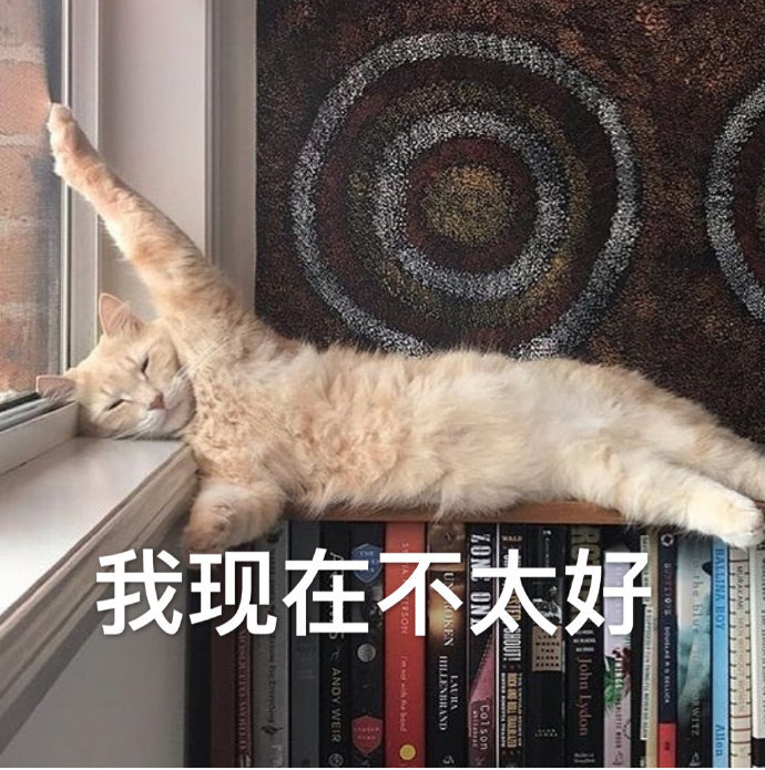 萌宠猫星人我现在不太好无奈呆萌可爱gif动图_动态图_表情包下载_soo