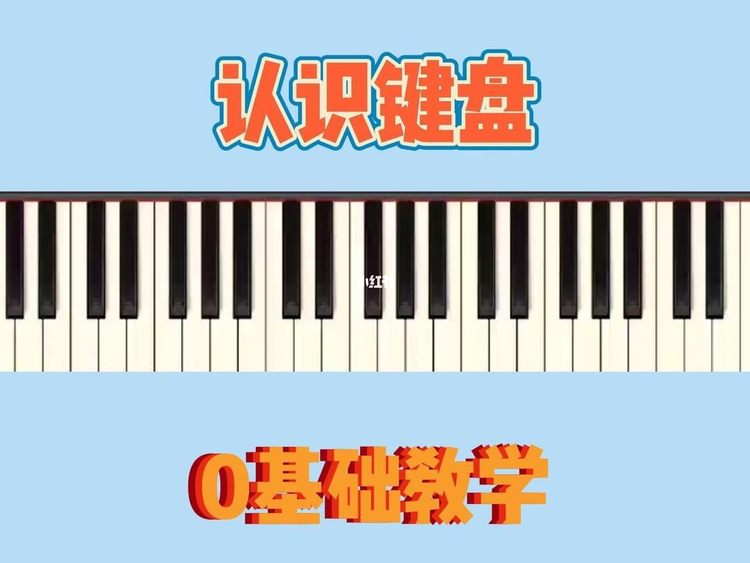 电子琴教学基础认识键盘