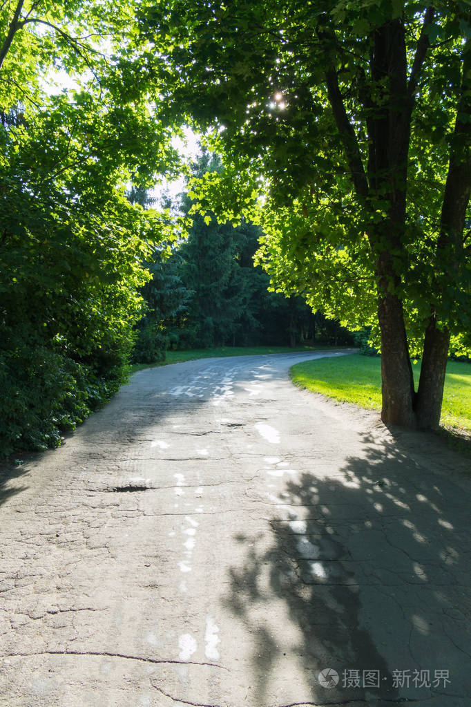 绿色草坪和高大树木背景下的公园宽阔的步行沥青路