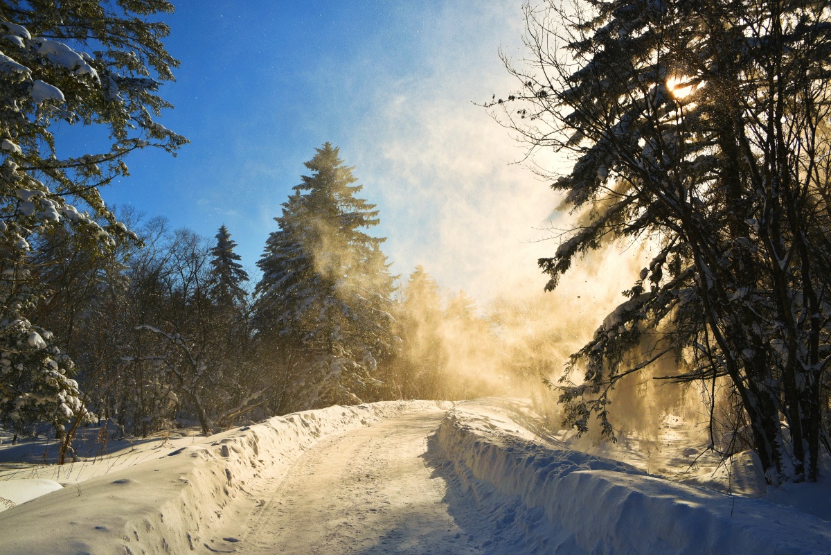 雪纷飞 - 咏物无声 - 图虫网 - 优质摄影师交流社区