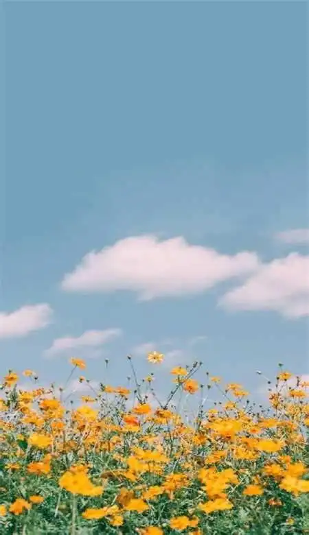 安静淡然的意境图片安静淡然的意境图片风景2022已更新今日动态