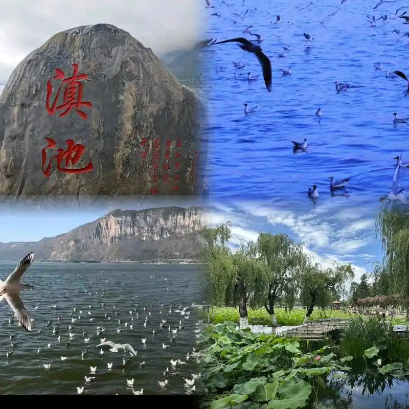 昆明滇池自由行攻略.#旅游攻略 #自由行#景点 #打卡 #城 - 抖音