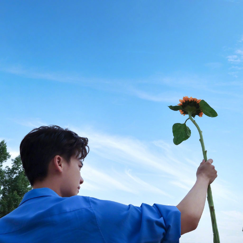 李易峰晒手举向日葵背影照 老谐音梗玩家祝各位高考生一举夺魁(葵)!