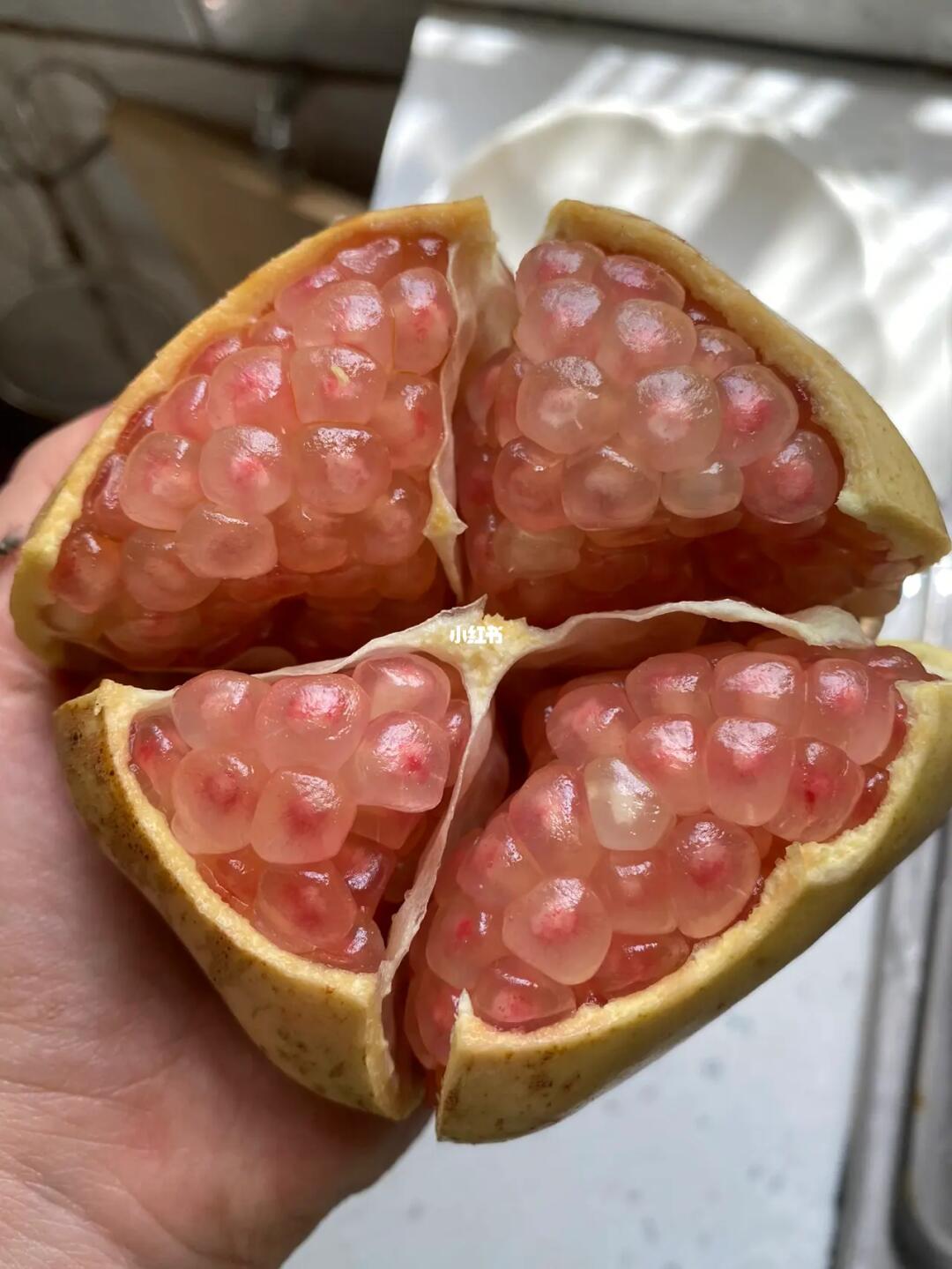 其实真的只是不出名,但是吃过我们家老树绿籽石榴的朋友都懂[旺柴]