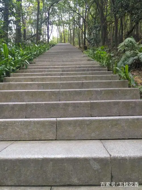 人生犹如这阶梯,步步高升后的风景会更阔美!