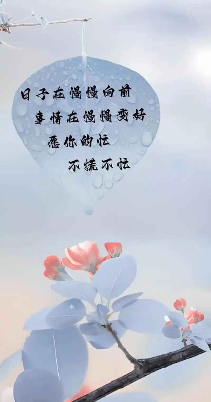 人生感悟#愿众生平安吉祥#温柔以待.愚者善辩,智者寡言   - 抖音