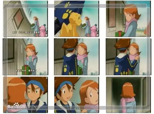 没有太多精力和时间能够和数码宝贝们一起并肩作战,只有阿武和小光