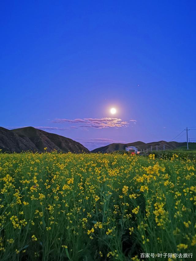 夜幕降临,月亮升起来,景区内的山峰,林间蒙在洁白朦胧的轻纱里