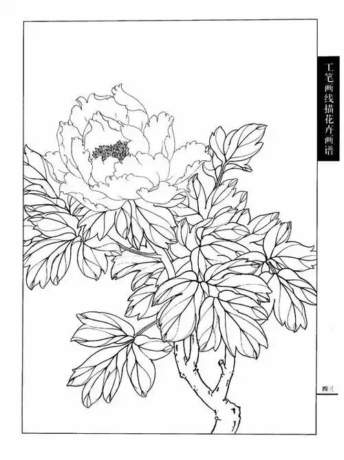 工笔画线描花卉画谱:牡丹篇 工笔画技法:工笔画常见问题50问