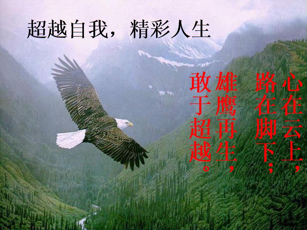 超越自我——精彩人生.ppt 47页