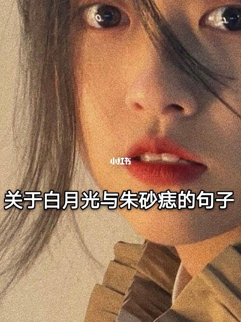 关于白月光与朱砂痣的句子