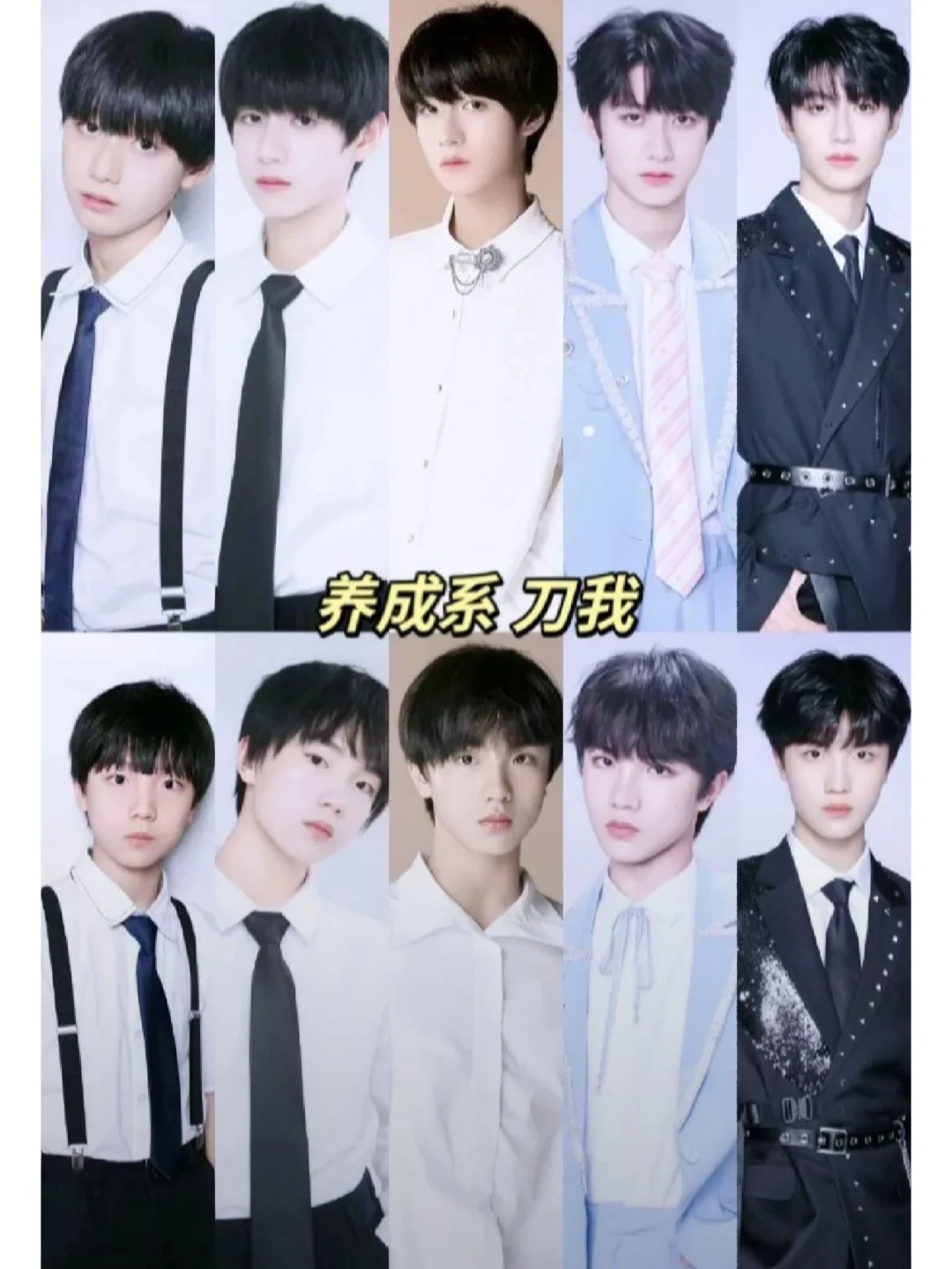 tf家族三代