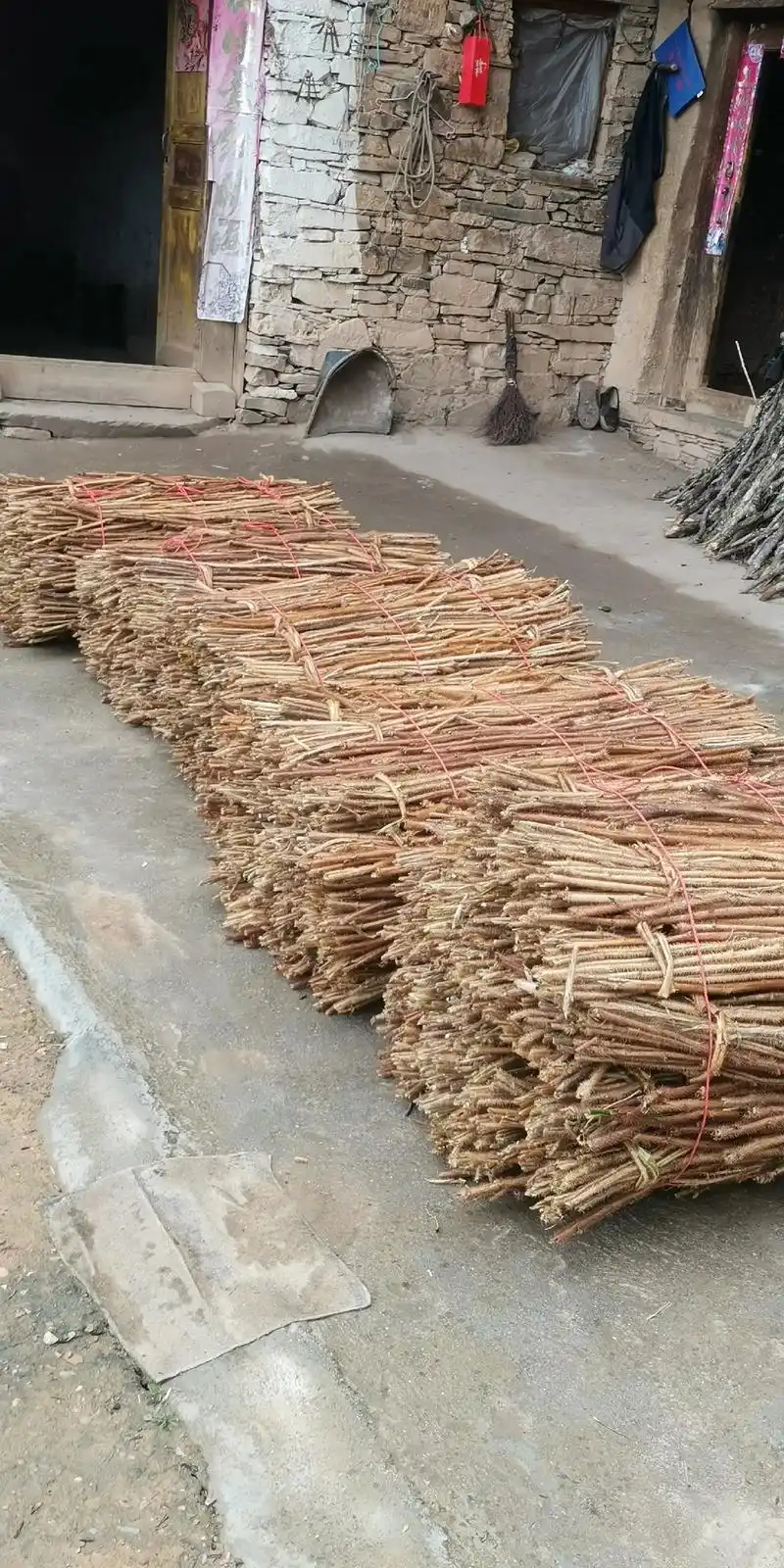 促进农民增收的好产业:道地种植红毛刺五加皮,市场前景好,增收 - 抖音