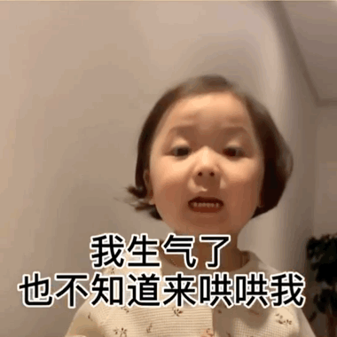 媳妇儿  我错了  对不起 我不惹你生气了 猫咪追火车动态表情包_我错