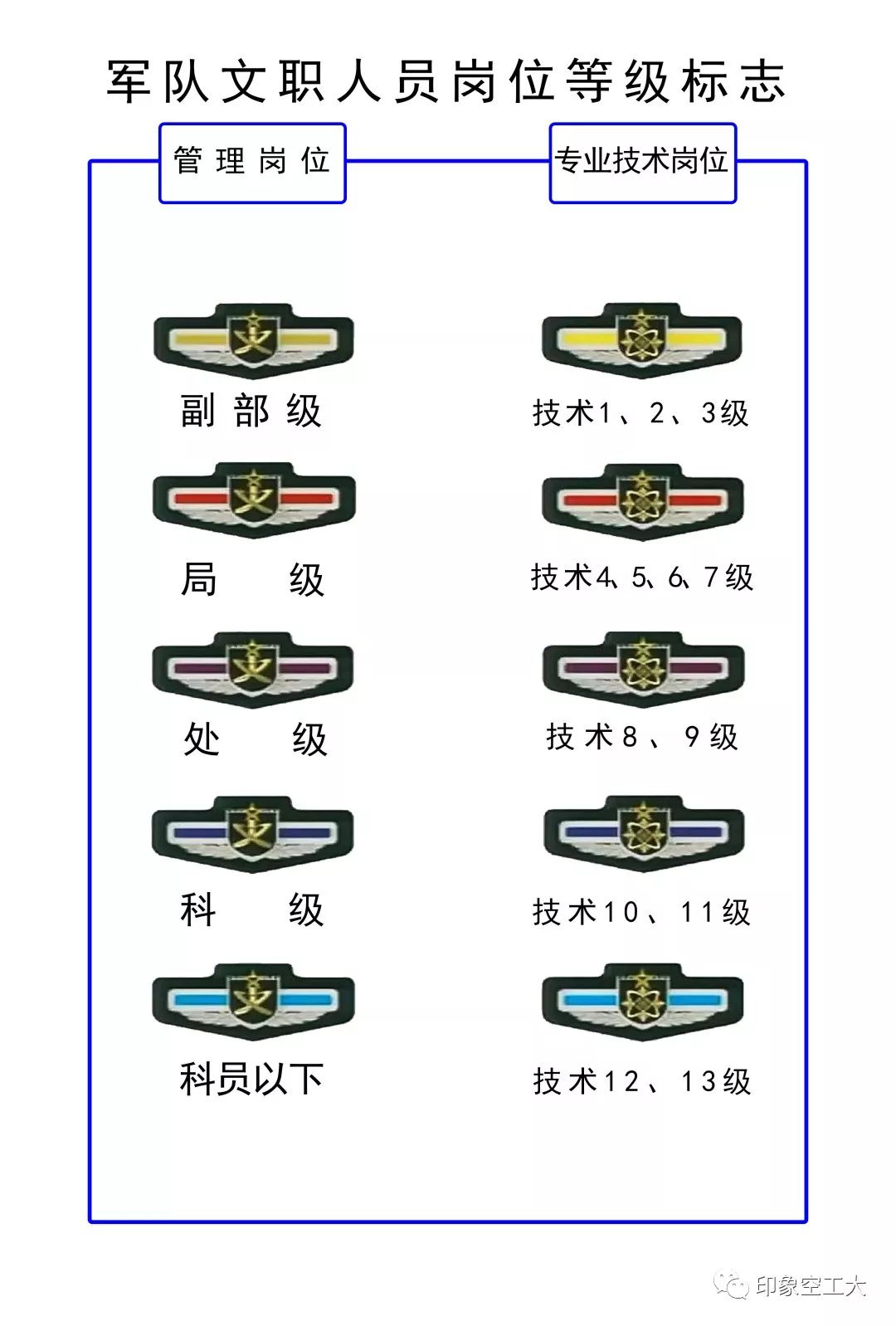 文职军官傻傻分不清送你一套军衔识别手册