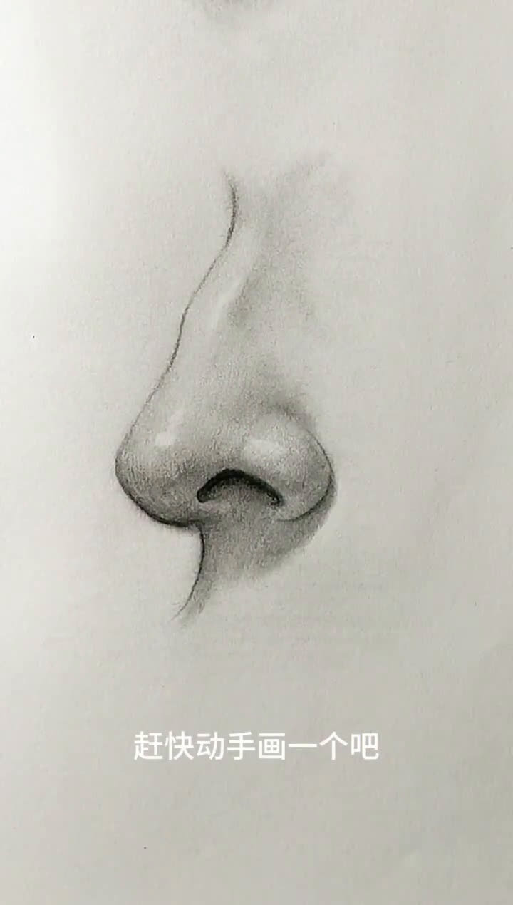 超简单画素描鼻子方法理解鼻子的结构是前提
