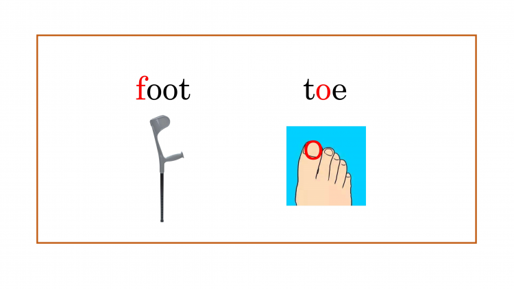 foot, f-o-o-t,最左边的f像不像拐杖?
