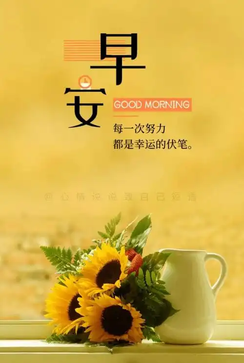 朋友圈早安激励的正能量句子