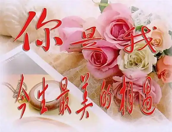 你是我今生无与伦比的美丽