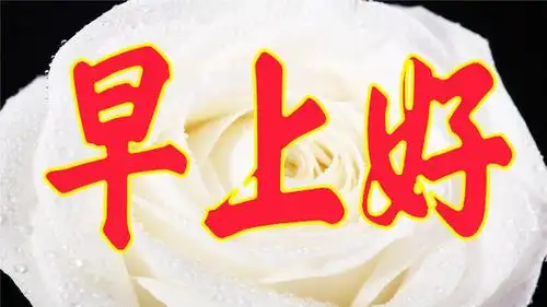 亲爱的早上好,醒了吗?想你,爱你,牵挂你,最暖心的情歌送给你