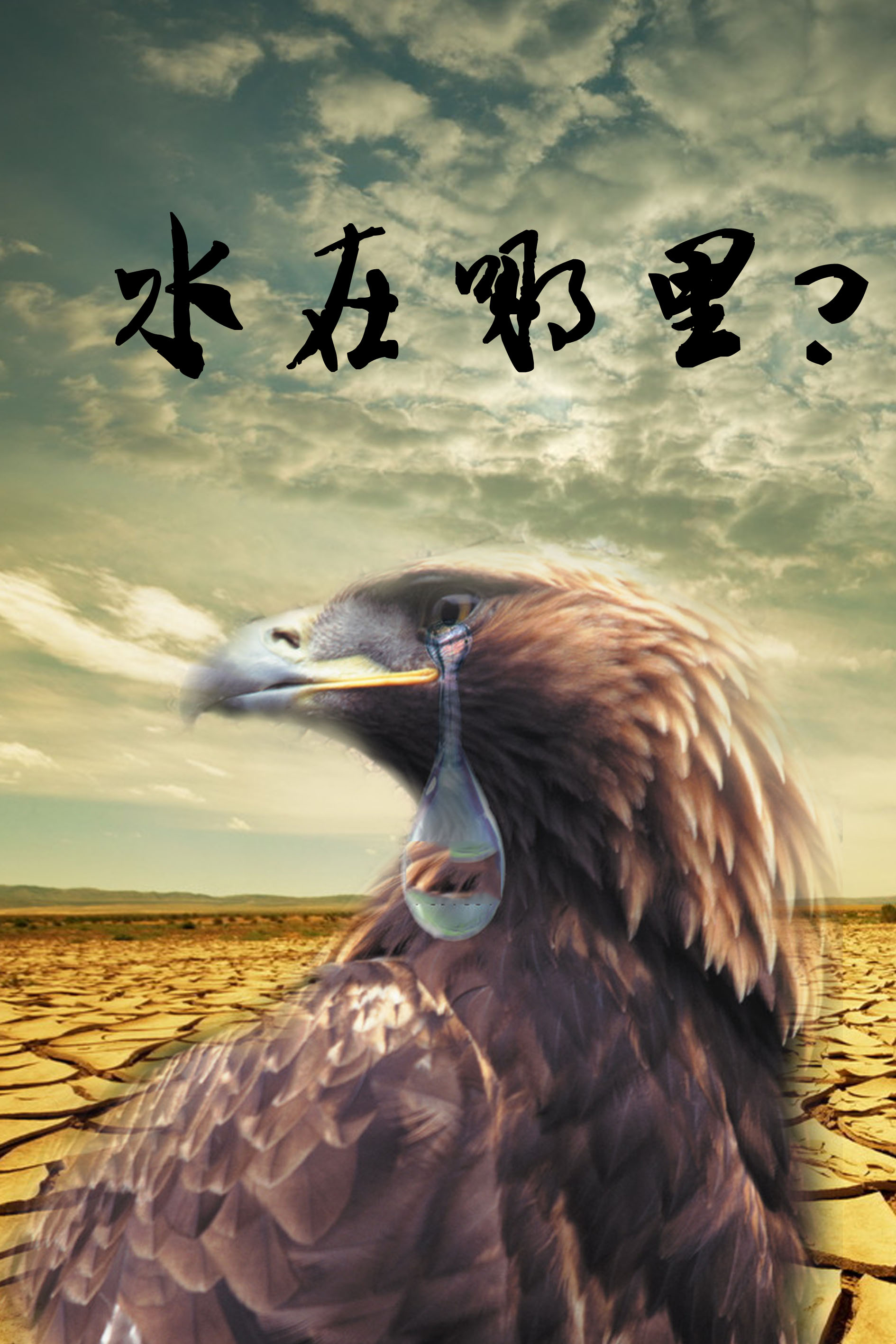 海报设计,公益广告(保护水资源)4张