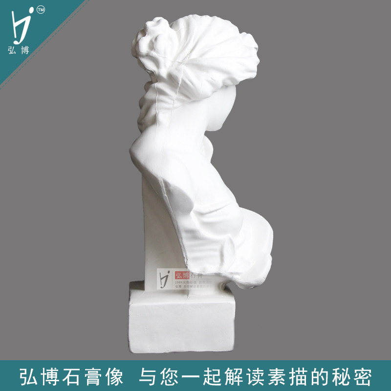 弘博 小琴女 石膏像教具素描静物写生美术教具头像胸像厂家直销
