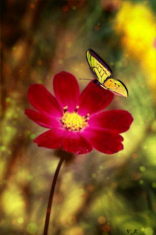 320_480竖版 竖屏gif 动态图 动图