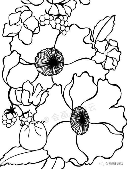 如何画好简笔画的线条有哪些