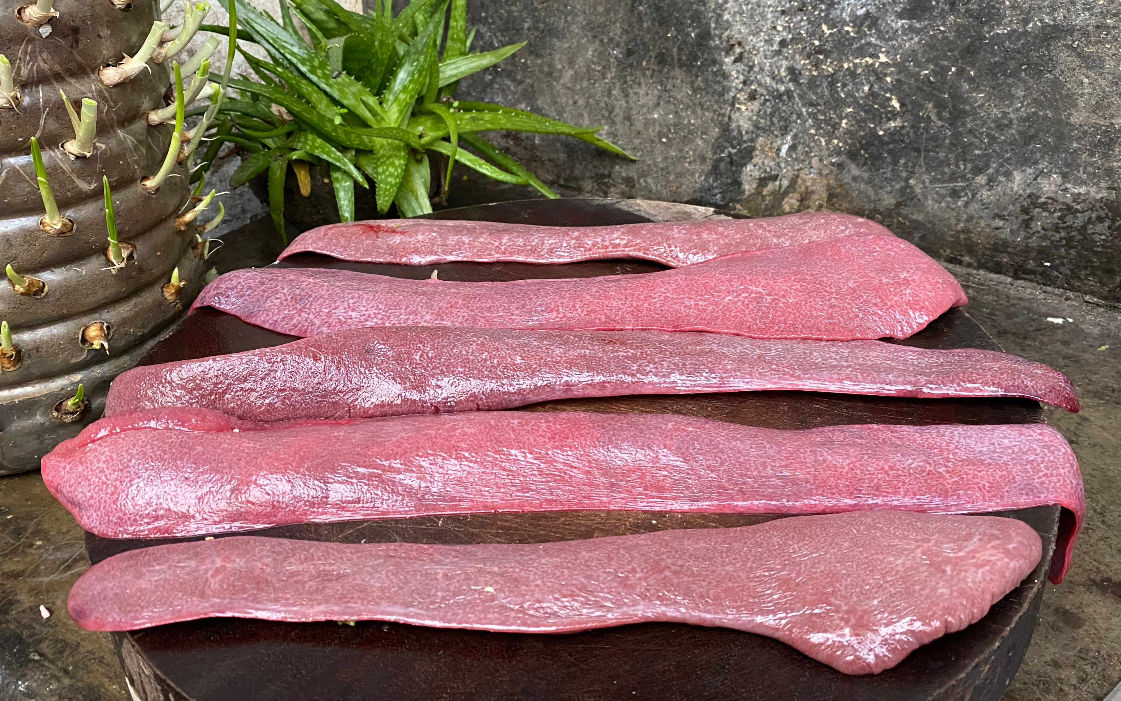 15元买了5根猪连铁,看看小伙这什么吃法,真是人间美味