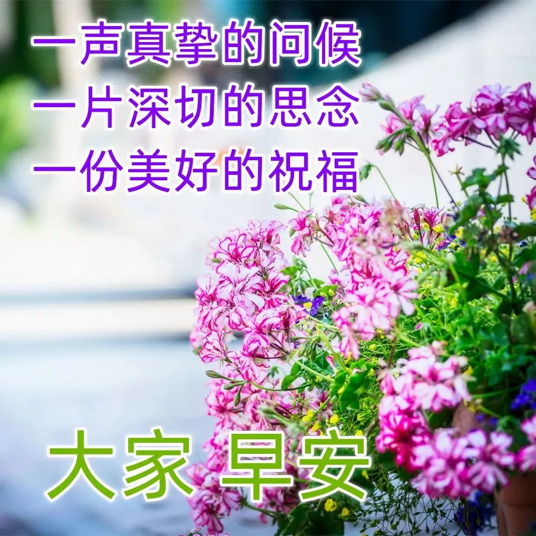 春季清晨问候朋友的早安祝福语,微信早上好祝福图片表情