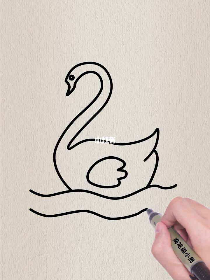 简笔画  #儿童简笔画  #简笔画教程  #黑天鹅
