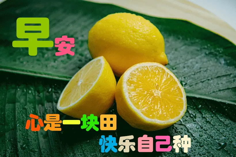 1月27日最漂亮早上好动态表情图片大全,早上好动图美图大全