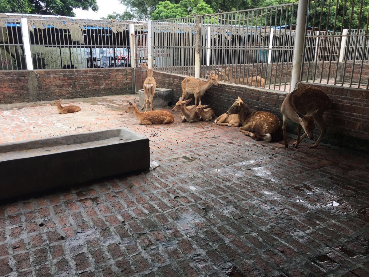 红旗湾生态乐园