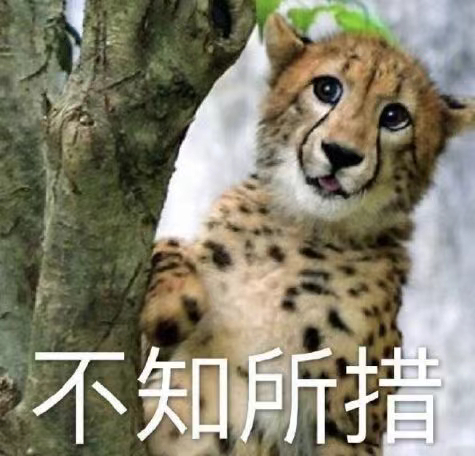 不知所措不知所措表情