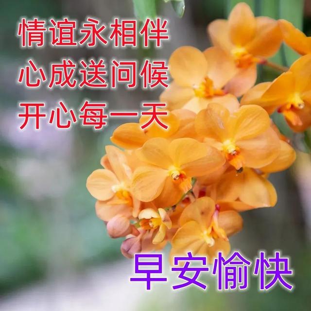 微信超级漂亮的早安图片带字,好看的早上好图片表情