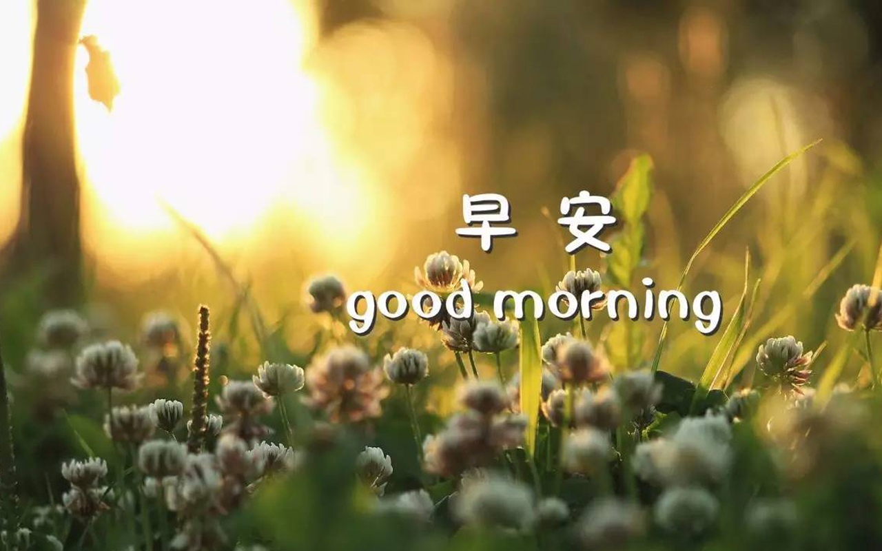 good morning早安图片带字,高清图片,电脑桌面-壁纸族